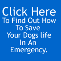 How To Be Your Own Vet